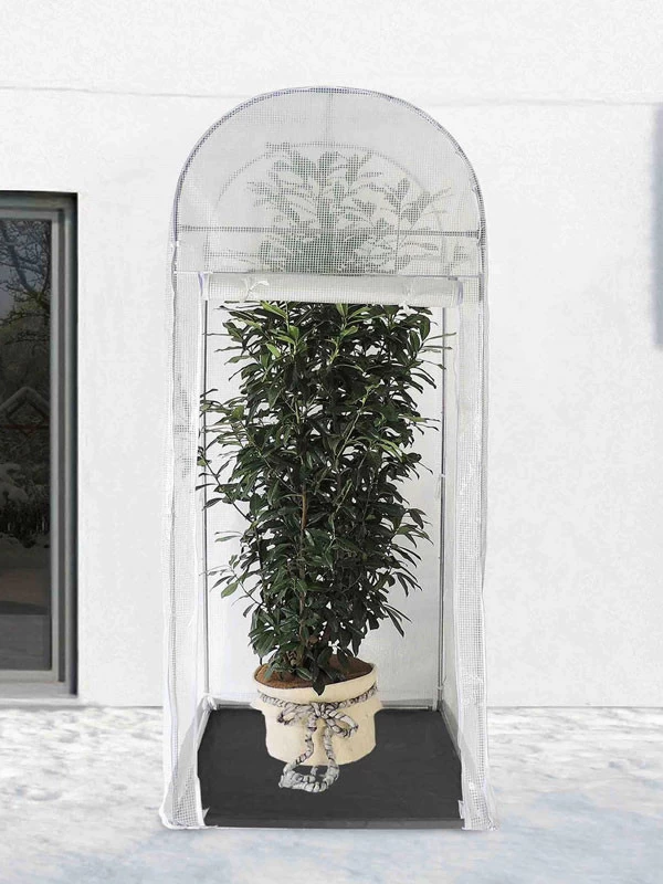 Frost-Schutzhaus PALM-PROTECT (Art.Nr. V29891) 2 Frost-Schutzhaus PALM-PROTECT (Art.Nr. V29891) – Bild 2