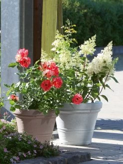 Pflanzkübel Milano -Gartengrün -Pflanze pflanzkuebel milano stim 2 1280x1280