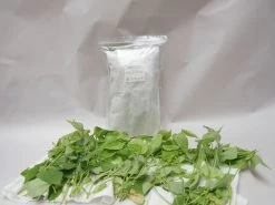 PhytoAmbly-Mix - Raubmilben-Mischung (Art.Nr. KB2038) -Gartengrün -Pflanze phyto ambly mix 1280x1280