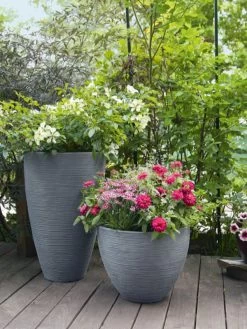 Pflanzkübel Rund Rillentopf -Gartengrün -Pflanze rillentopf rund bepflanzt 1280x1280