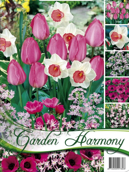 Edle Farbkombination 'Rosa Garten' (Art.Nr. 598242) 1 Edle Farbkombination 'Rosa Garten' (Art.Nr. 598242)