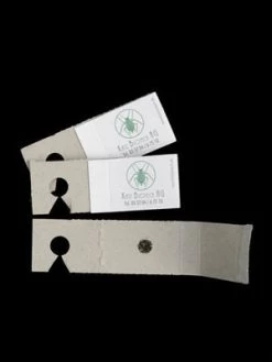 Schlupfwespe (Art.Nr. KB3056) -Gartengrün -Pflanze schlupfwespe versand verpac 80549 2 1280x1280