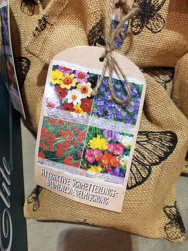 Schmetterlings-Blumenzwiebel-Mischung (Art.Nr. 5224225) 1 Schmetterlings-Blumenzwiebel-Mischung (Art.Nr. 5224225)