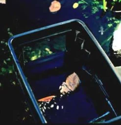 BIOsys Skimmer+ Von OASE (Art.Nr.57137) 5 BIOsys Skimmer+ Von OASE (Art.Nr.57137) -Gartengrün -Pflanze skimmer j18 1280x1280