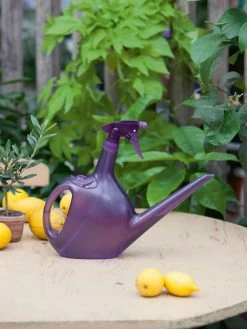 Sprüherkanne SPRAYCAN -Gartengrün -Pflanze spraycan stimmung 1280x1280