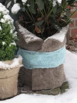 Winterschutz Schafwollmatte Aus Reiner Schafwolle 10 Winterschutz Schafwollmatte Aus Reiner Schafwolle -Gartengrün -Pflanze stein schafswollmatte 1280x1280