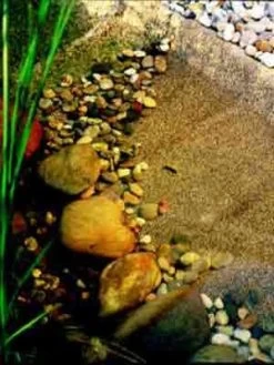 Steinfolie Sand Von OASE 5 Steinfolie Sand Von OASE -Gartengrün -Pflanze steinfolie j33 1280x1280