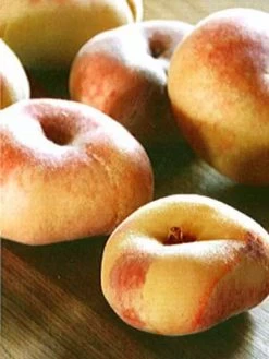 Tellerpfirsich, Plattpfirsich Paraguayo 5 Tellerpfirsich, Plattpfirsich Paraguayo -Gartengrün -Pflanze tellerpfirsich j1 1280x1280