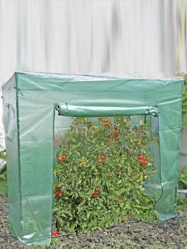 Tomatengewächshaus Groß 1 Tomatengewächshaus Groß