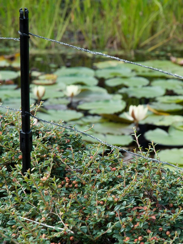 Ultra Protector Von Velda (Art.Nr.Vel128026) 3 Ultra Protector Von Velda (Art.Nr.Vel128026) – Bild 3