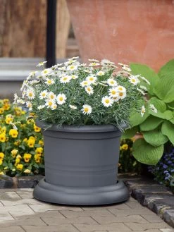 Untersetzer Mit Rollen 6 Untersetzer Mit Rollen -Gartengrün -Pflanze untersetzer rollen stimmung 1280x1280