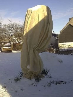 Winterschutzhaube 'Mammut' In Großformat 9 Winterschutzhaube 'Mammut' In Großformat -Gartengrün -Pflanze vlieshaube mammut 5 1280x1280