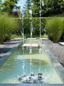 Water Quintet Von OASE (Art.Nr. 50187) -Gartengrün -Pflanze water trio quintet 4 1280x1280