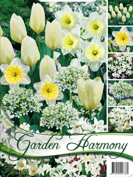 Edle Farbkombination 'Weißer Garten' (Art.Nr. 598244) 1 Edle Farbkombination 'Weißer Garten' (Art.Nr. 598244)