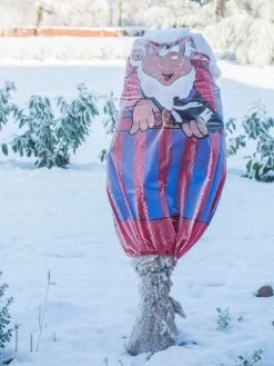 Winterschutz-Vlieshaube "blau-rot" (Art.Nr. Vi29136) 6 Winterschutz-Vlieshaube "blau-rot" (Art.Nr. Vi29136) -Gartengrün -Pflanze wintervlies fan rot blau 1280x1280