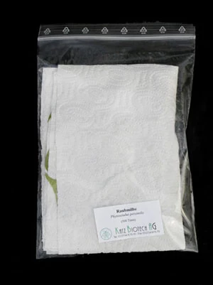 Phytoseiulus-Raubmilbe (Art.Nr. KB4480) 3 Phytoseiulus-Raubmilbe (Art.Nr. KB4480) – Bild 3